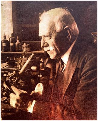 Domingo Sánchez y Sánchez (1860–1947): Cajal’s man on the nervous system of invertebrates